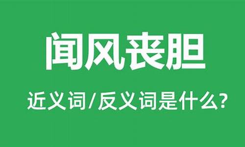 闻风丧胆是什么意思解释词语_闻风丧胆是什么意思