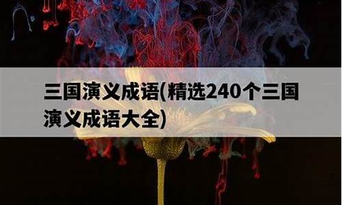 三国演义成语大全30个故事_三国演义成语大全30个故事视频