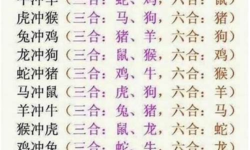 合是指什么生肖_合打一生肖是什么