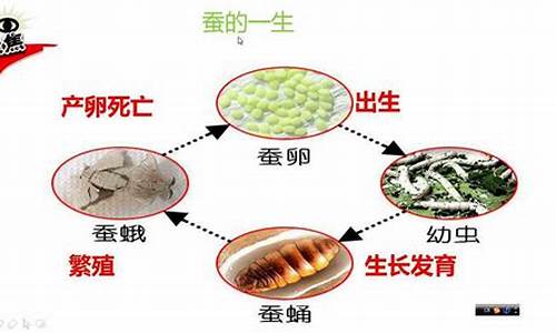 大大咧咧的动物解一生肖_大大咧咧的动物打一生肖