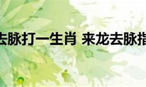 来龙去脉打一生肖动物怎么处理最好的方法_来龙去脉打什么生肖