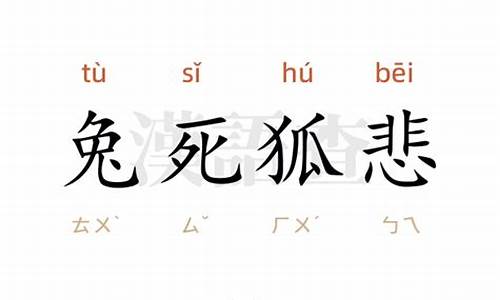 兔死狐悲造句造句怎么写_用兔死悲伤造句