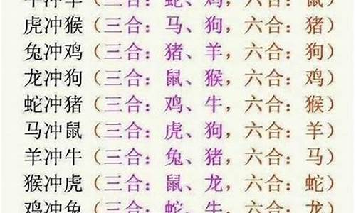 打字解一生肖_打打一生肖是什么