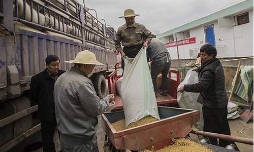 积谷防饥是什么意思_积谷防饥将过补打一生肖是什么