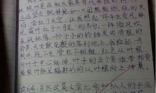 触目惊心造句子初中生怎么写_触目惊心造句子初中生怎么写的