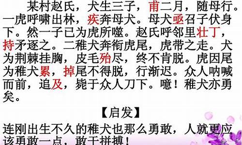 文言文成语故事及翻译寓意_文言文成语故事及翻译寓意是什么