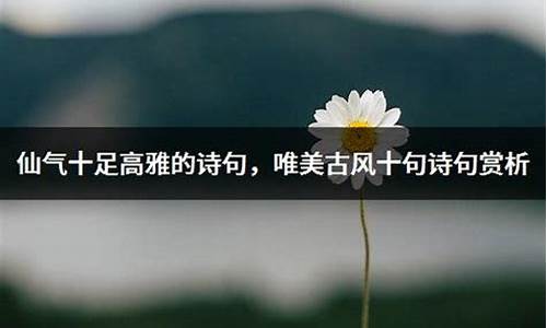 仙气十足高雅的成语意思是什么_仙气十足高雅的成语意思是什么呢