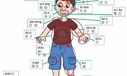 含有人体部分的词语成语_含有人体部分的词语成语有哪些