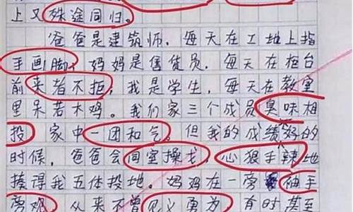 四字成语的作文大全_四字成语的作文大全三年级